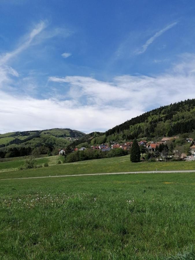 Schwarzwald Appartement Steinen  Exterior photo